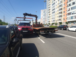 загруженное (13)