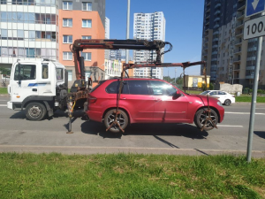 загруженное (14)