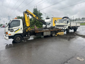 загруженное (26)